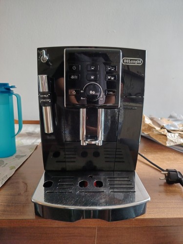Longhi magnifica s - magnifica,