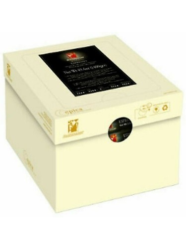 600 caffè hausbrandt - 600,